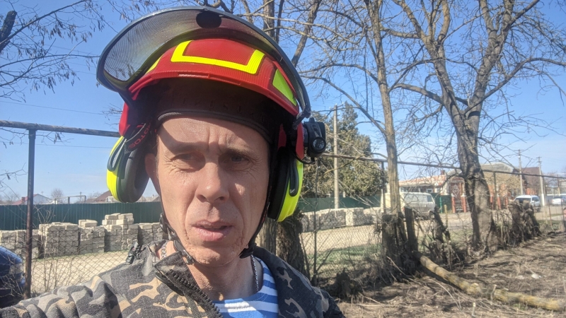 Спил деревьев